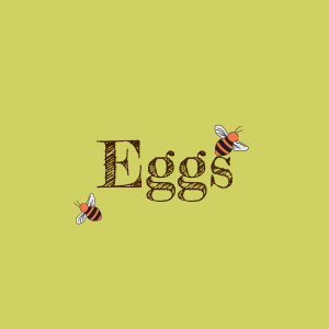 Eggs